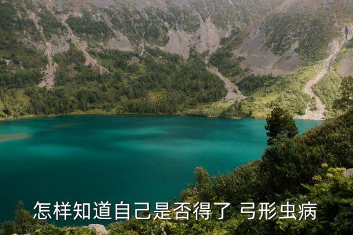 弓形蟲病要做什么檢查,簡述弓形蟲病的實驗室檢查方法...